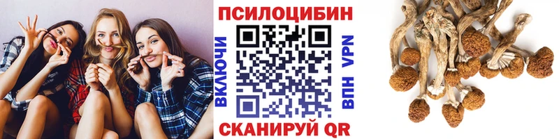 купить   Черногорск  Галлюциногенные грибы MAGIC MUSHROOMS 