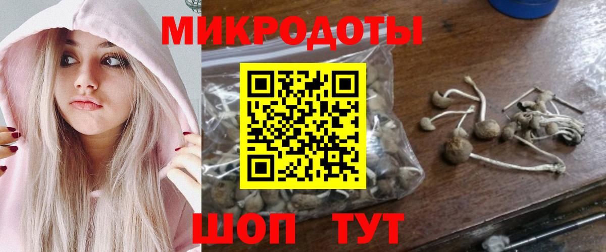Псилоцибиновые грибы мицелий  Вход с VPN  Черногорск  Галлюциногенные грибы прущие грибы 